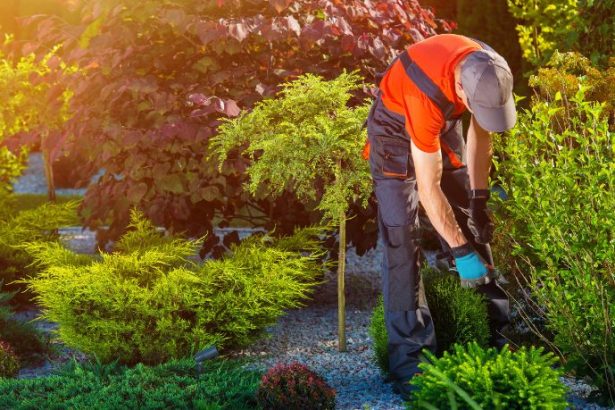 Paulo Augusto Berchielli