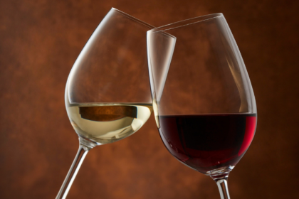 Brindando com Sabedoria: Guia Completo para Entender Espumante e Frisante no Mundo dos Vinhos