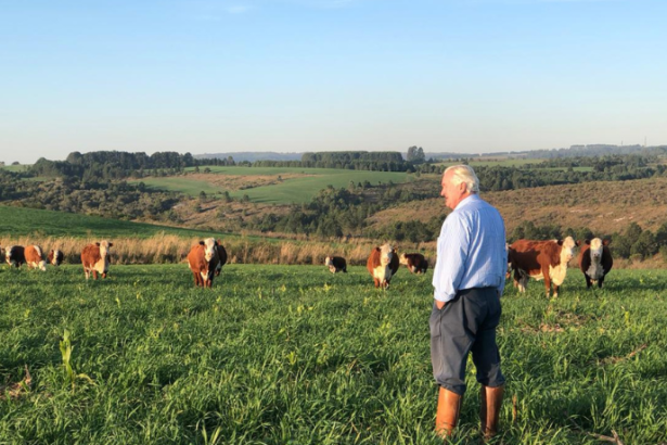 Aldo Vendramin destaca o planejamento de safra em cenários de incerteza econômica.