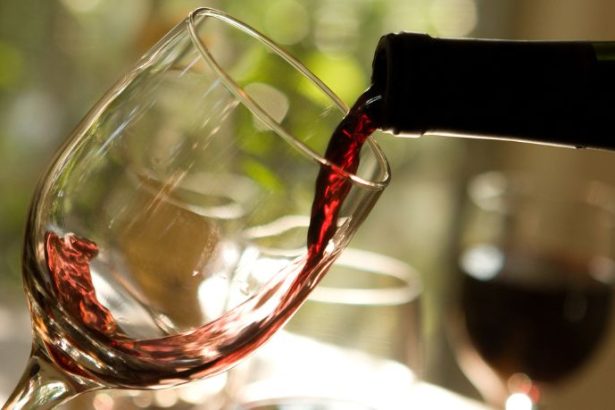 Vinhos sul-americanos entre os melhores do mundo em 2026: qualidade, identidade e protagonismo global