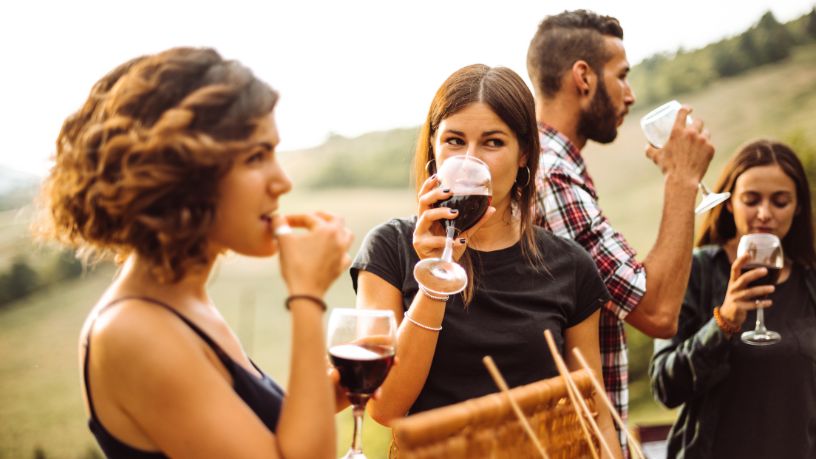 Grande Prova Vinhos do Brasil: seleção dos melhores rótulos nacionais e a consolidação da vitivinicultura brasileira no mercado premium