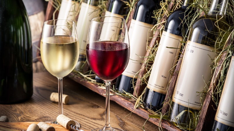 Setor de vinhos brasileiro ganha novo impulso com dados recentes de produção e exportação em 2026